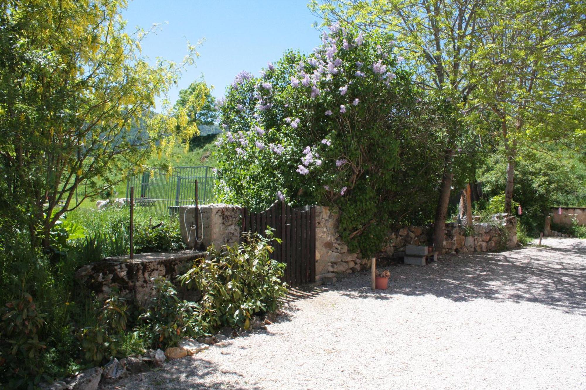 Chateau De Camurac Bed & Breakfast Exterior photo